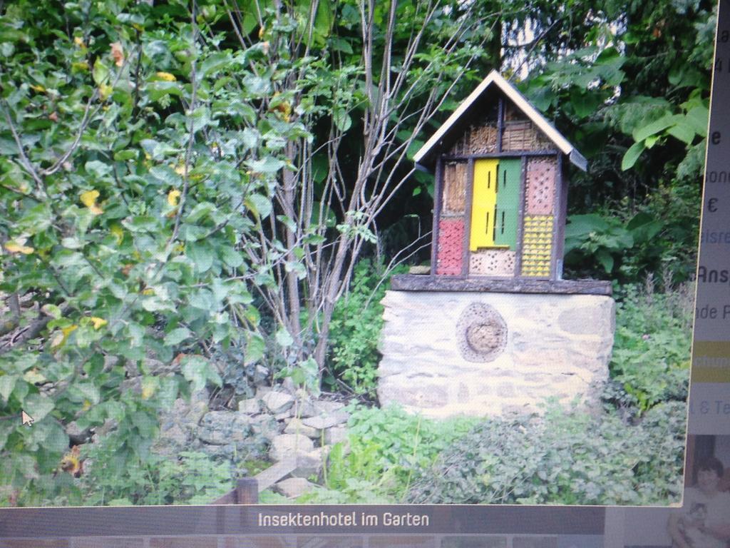 Ferienwohnung Dietlinde Bad Blankenburg Bilik gambar